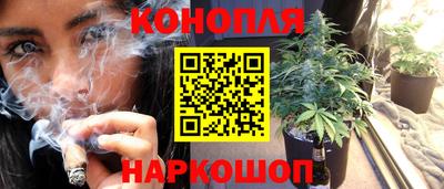 соль ск Славгород